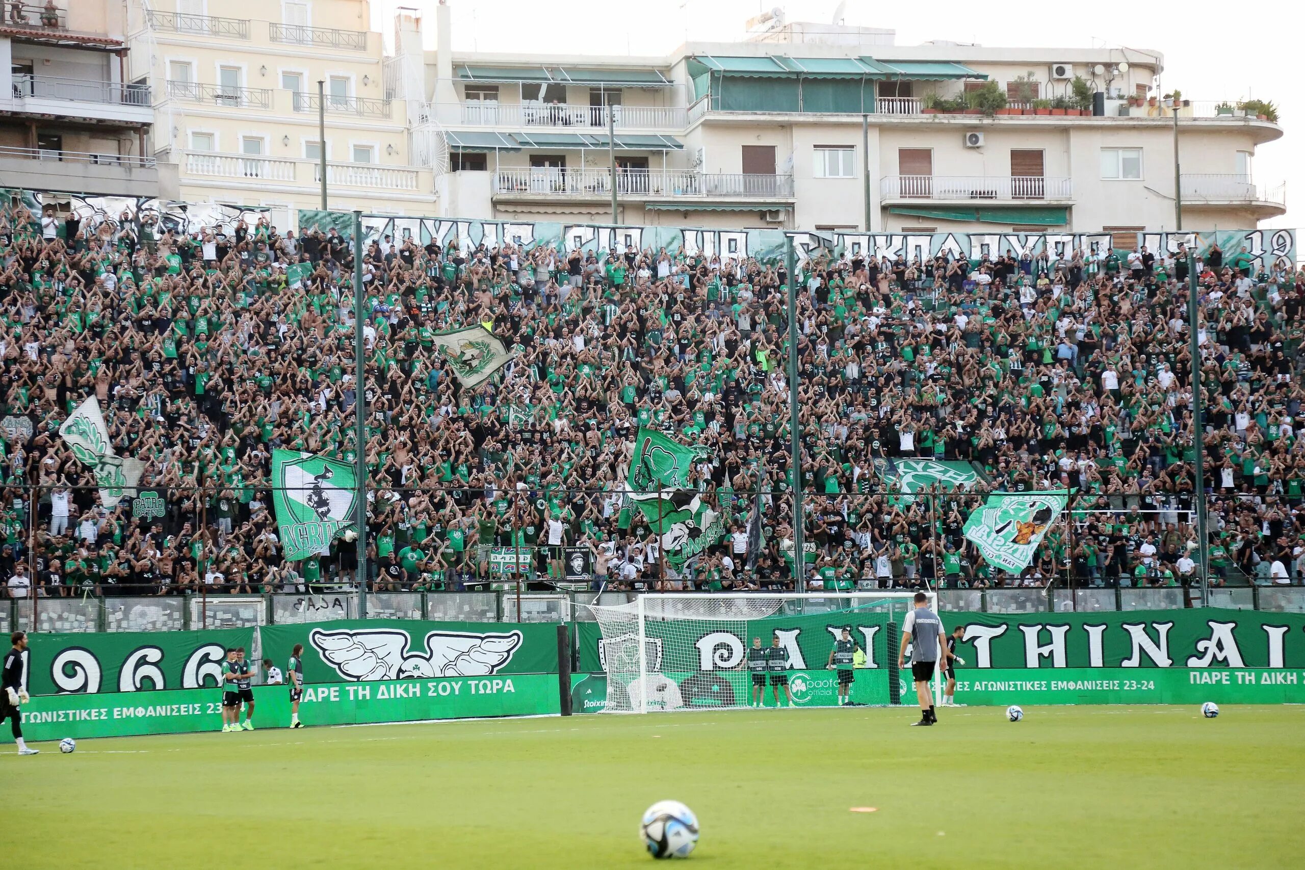 panatinaikos-fans