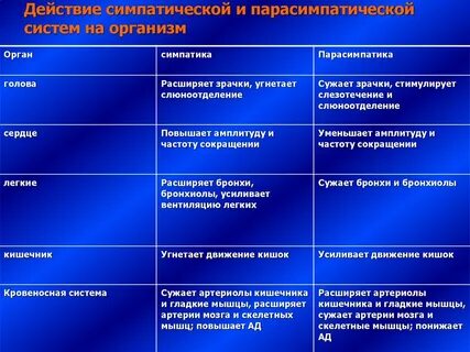 Зрачок симпатическая и парасимпатическая нервная система