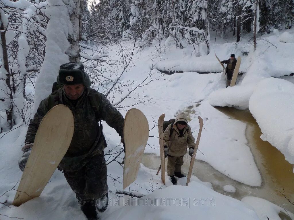 Сибирские Увалы Нижневартовск. Парк Югры Сибирские Увалы. Увал в Сибири. Сибирские увалы это горы