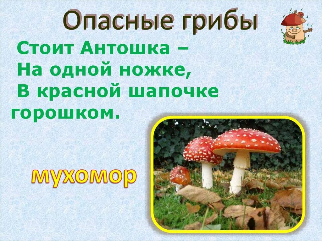 Почему грибы опасны. Проект Лесные опасности 2 класс окружающий мир мухомор. Лесные опасности 2 класс окружающий мир мухомор. Ядовитые грибы. Лесные опасности ядовитые грибы.