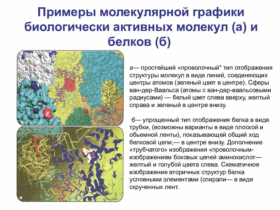 Ферменты белков примеры. Биологически активные молекулы. Молекулярная изоляция примеры. Биологические активные молекулы. Продукция биологически активных молекул.