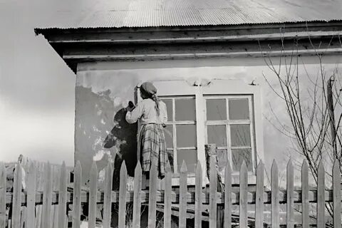 Белить дом во сне
