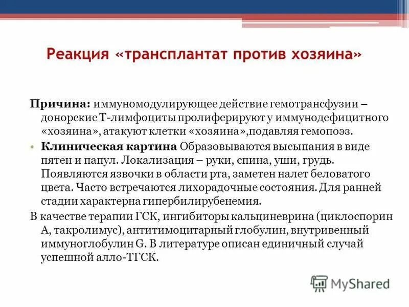 радостная собака с хозяином. отношения паразит хозяин. безответственность это 9. по какой причине хозяева. паразит хозяин.