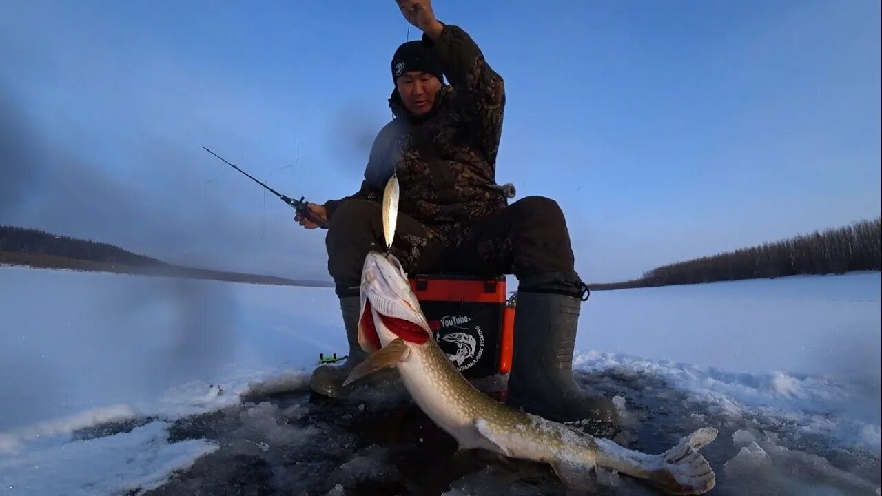 Клевая рыбалка в Якутии 2020. Якутия рыбалка 2020 видео. Якутия клевая рыбалка 2020 зима. Рыбалка Якутия клевая рыбалка 2019.