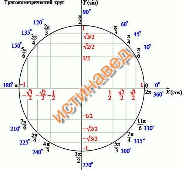 Sin 90 градусов на окружности. Cos sin TG CTG таблица круг. Тригонометрический круг п/6. Тригонометрическая окружность 3п.