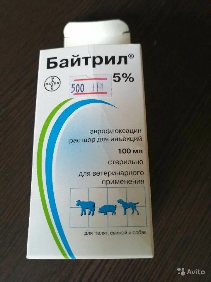 Энрофлоксацин байтрил. Байтрил 2.5 для кошек. Антибиотик для собак байтрил. Байтрил лекарство для животных.