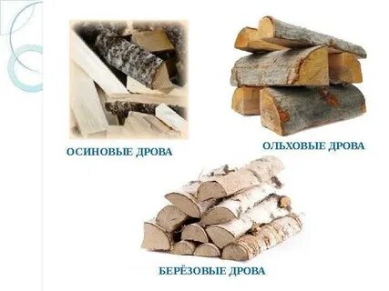 Плюсы и минусы осины