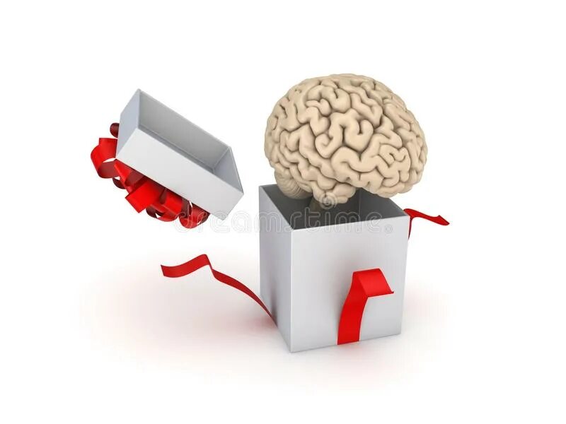 Brain 49. Мозг в подарок. Мозги в подарок. Подарок мозги в коробке. Мозг человека подарок.