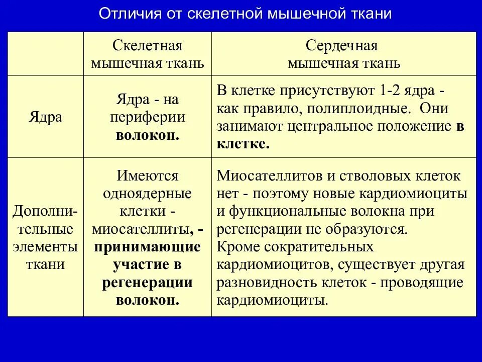 Отличие тканей. Отличия скелетной и сердечной мышечной ткани. Скелетная и сердечная мышечные ткани отличия. Различие скелетной и сердечной мышцы. Сходства и различия мышечных тканей.