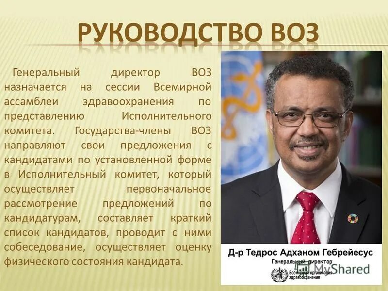 Государства-члены воз. Функции исполнительного комитета воз. Исполнительный комитет функции. Воз является организацией:. Функции исполнительного комитета воз.