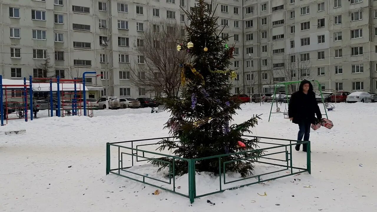 Туту тучково. Елка тучково. тучково вмр. каток вмр восточный тучково. коммунальщики красноармейска сфотографировали елку.