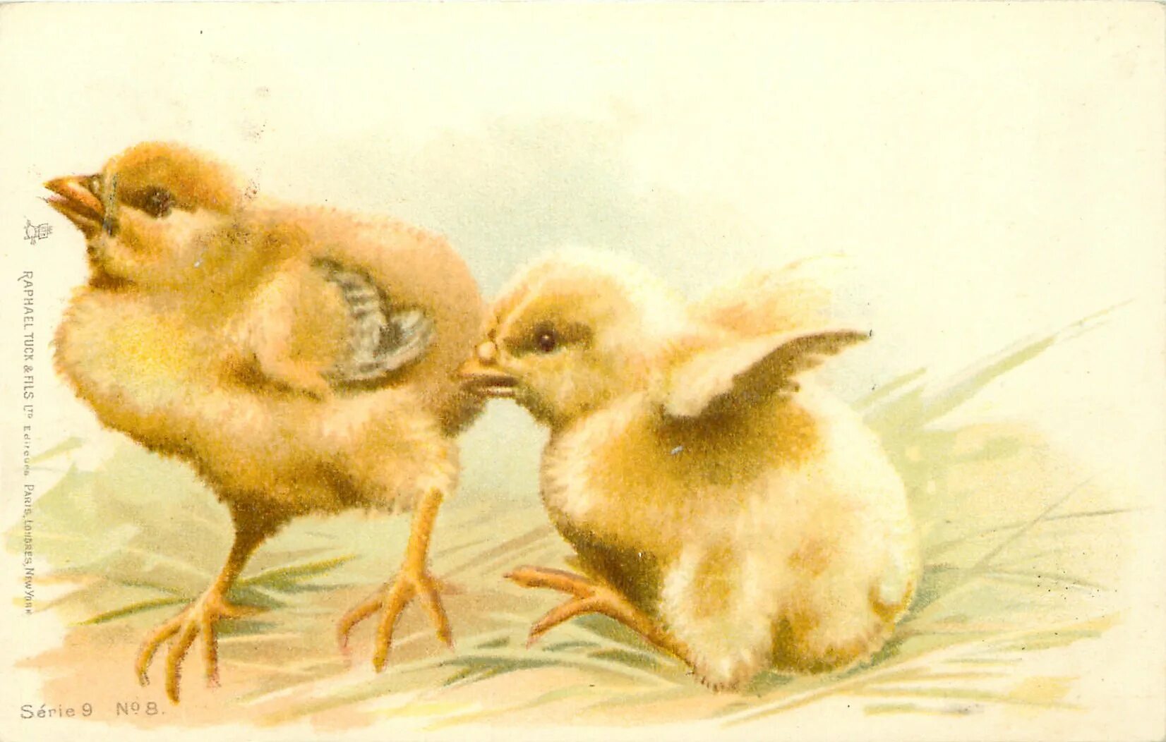 Chick 1. Цыплята для декупажа. Винтажные открытки с цыплятами. Цыплята живопись. Открытки цыпленок.
