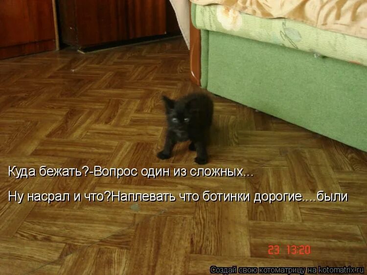 куда бежит сама не знает. года бегут картинки прикольные. не знаю куда бежать. стихи про бег. не знаю куда бежать.