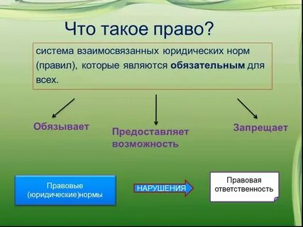 Кто такие правые и левые простыми словами