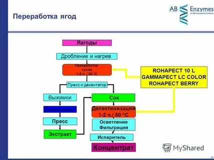 Переработка фруктов ягод