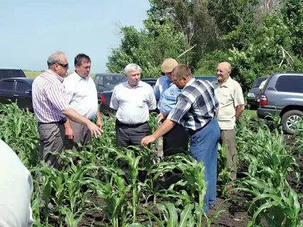 Погода орловка кошкинский самарская область