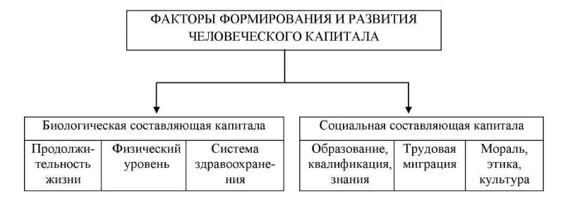 Источники и факторы развития. Факторы формирования и развития человеческого капитала. Концепция модели формирования человеческого капитала. Факторы формирующие человеческий капитал. Перечислите факторы развития человеческого капитала.