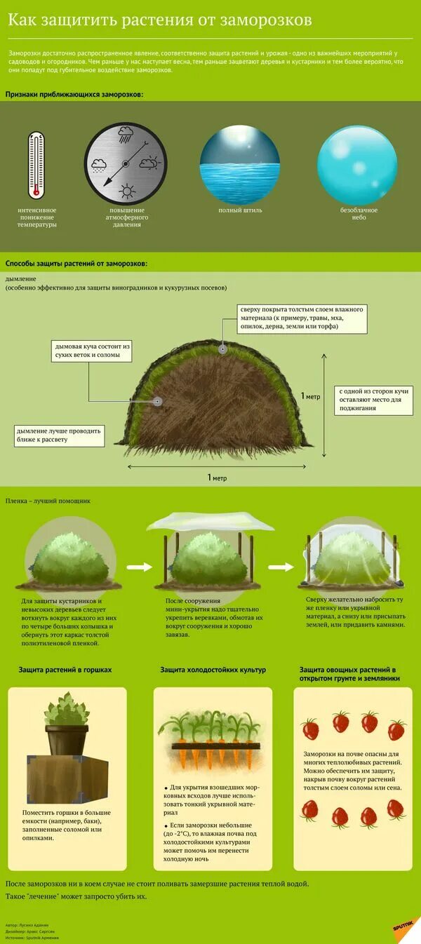 Как защитить заморозков