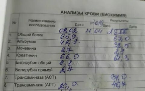Норма анализов при беременности 1 триместр