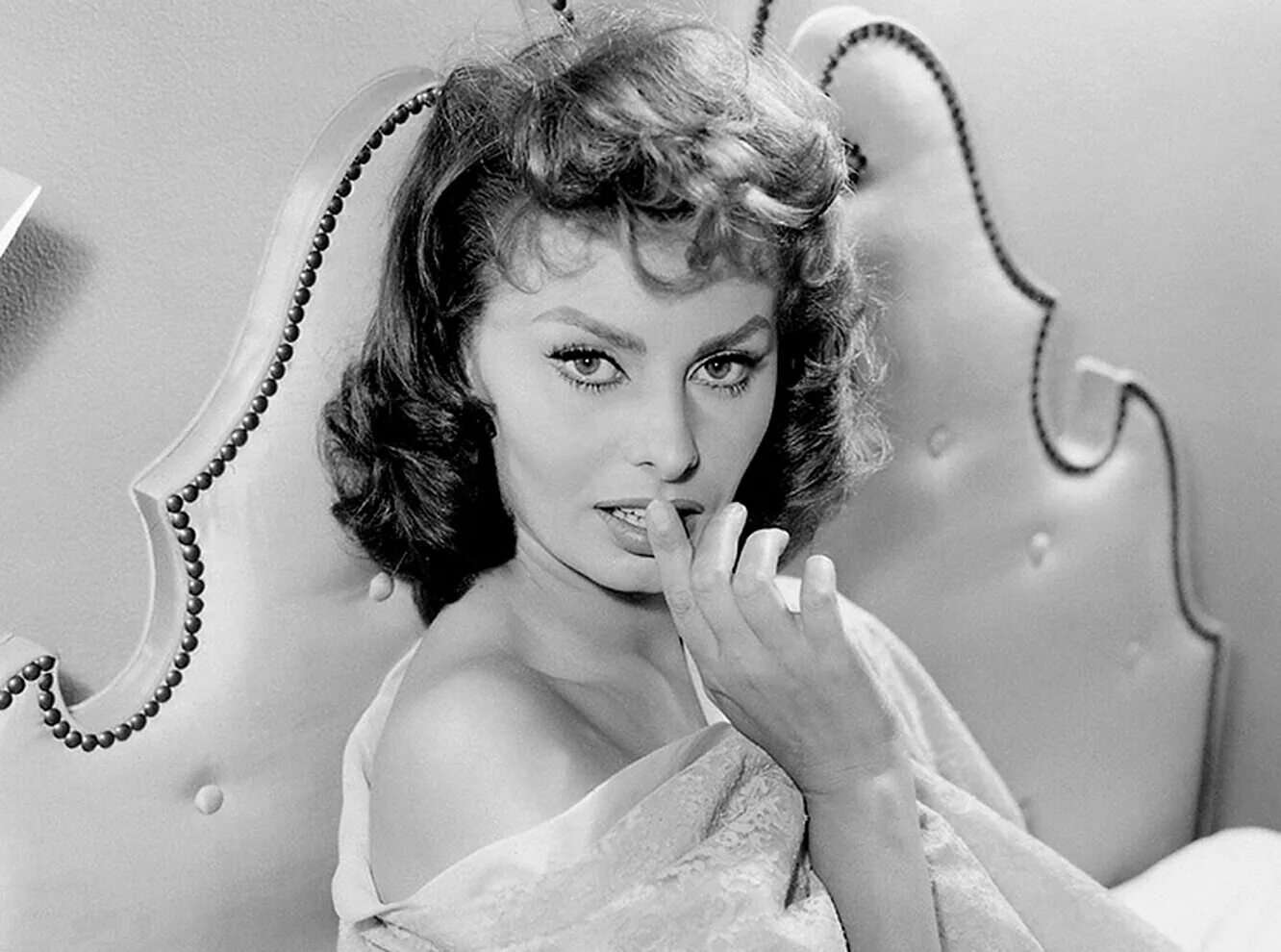 софия шиколоне сканворд. софи лорен, 1960-е. стрелки софи лорен. ромильда виллани. рикардо шиколоне.