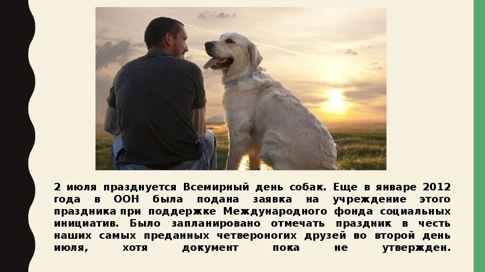 Собаки какое число