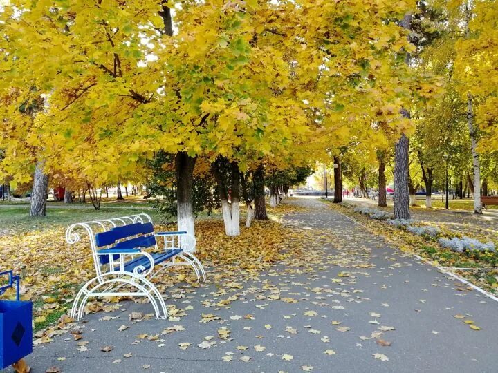 Погода. Чистополь. Потепление в октябре. Погода в сургуте на месяц. Гидрометцентр чистополь.
