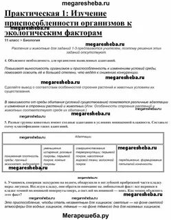Решеба по искусству