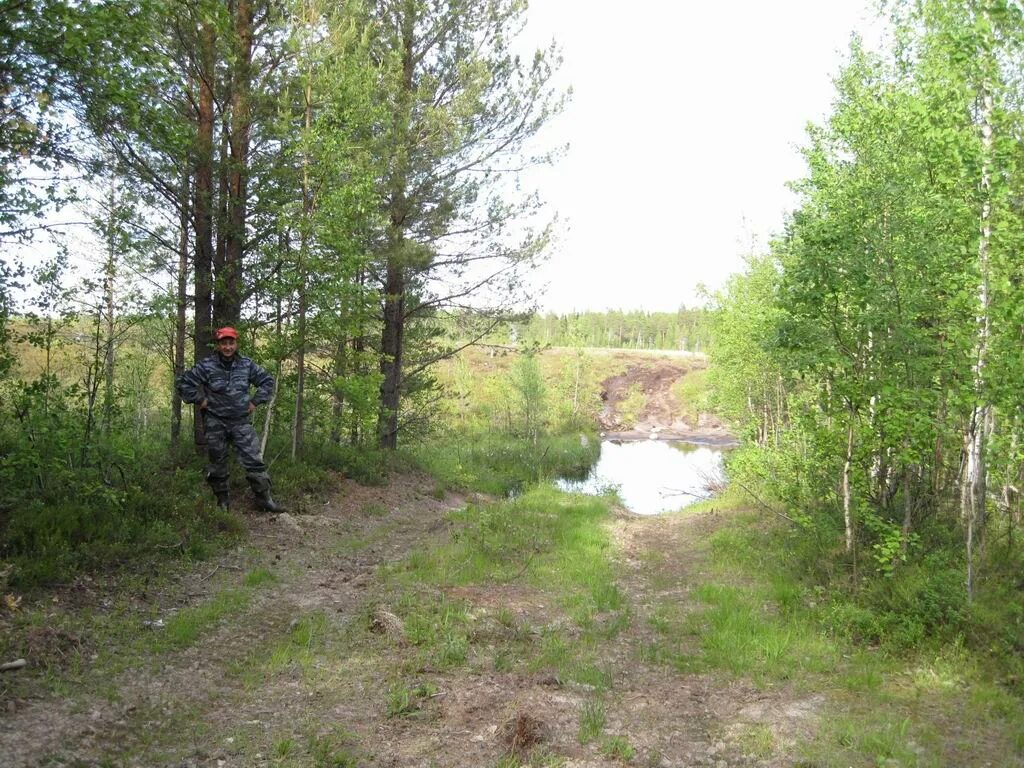 Погода в унежме. Унежма. Деревня Унежма. Унежма Архангельская область. Деревня Унежма Архангельская область.