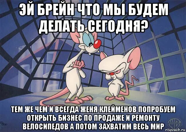 пинки и брейн захватить мир. пинки и брейн мы захватим мир. какие захватить мир. пинки и брейн. какие захватить мир.