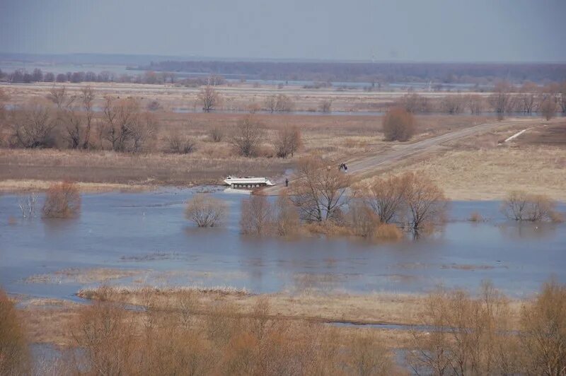 Погода в белоомуте на месяц