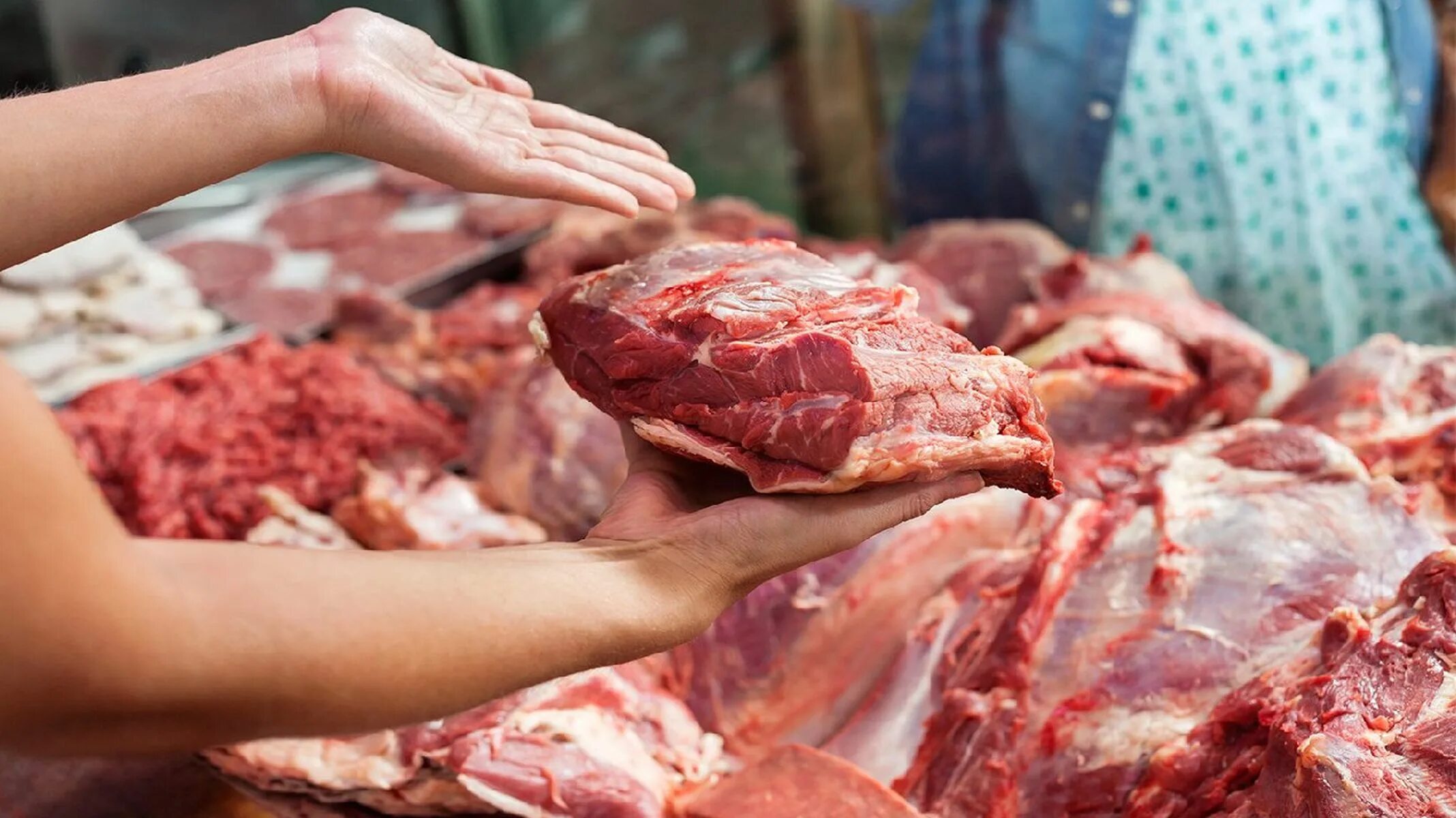 слова антонимы.