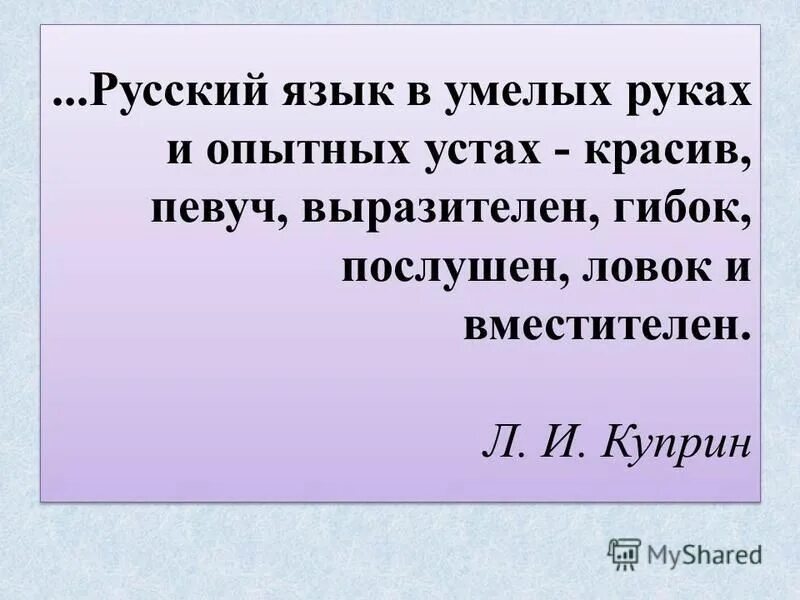 русский язык в умелых руках