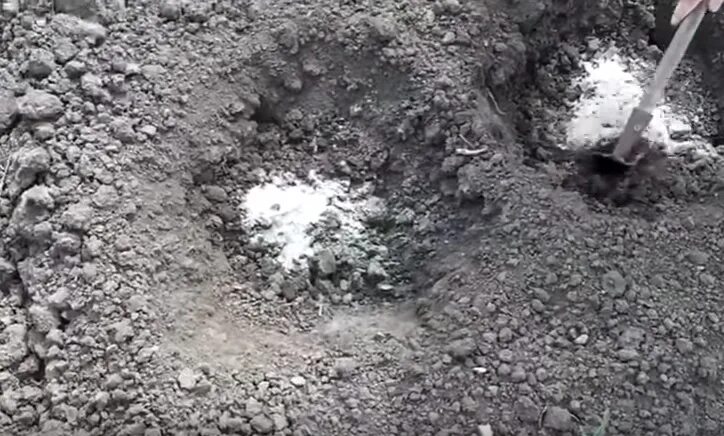 Можно добавить золу при посадке картофеля. Зола в лунку. удобрения в лунки для картофеля. зола при посадке. раствор золы.