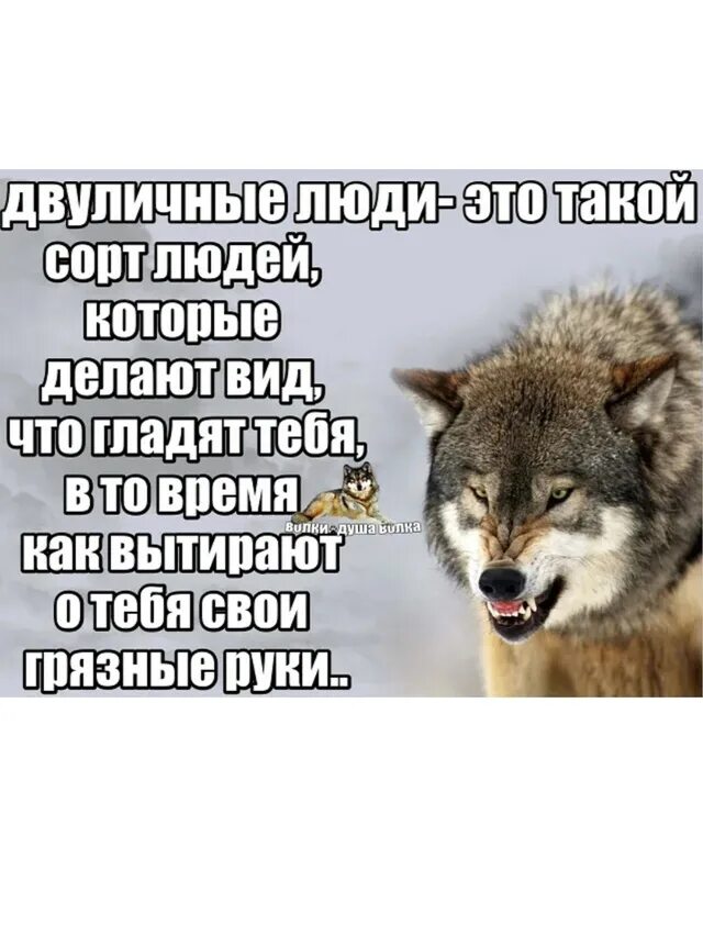 Не важно есть ли у тебя стиль репутация и деньги картинки. Если они вообще есть люди. Высказывания про двуличность. Жизнь очень короткая штука и если тебе дорог. Лучшие высказывания великих людей.