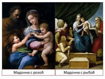 Мадонна с розой