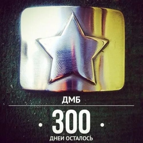 Дмб 100. 300 Дней до дембеля. 300 Дней до дембеля открытка. Осталось 300 дней до дембеля. 300 Дней осталось служить.