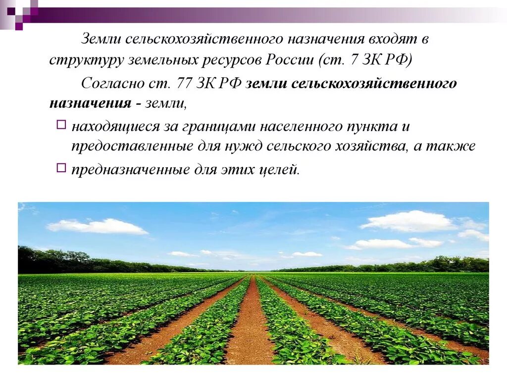 Земли сельскохозяйственного назначения. Земельный участок для ведения сельского хозяйства. Земли с/х использования. Земли сельскохозяйственного назначения презентация. Сформулируйте ограничения и преимущества для ведения сельского