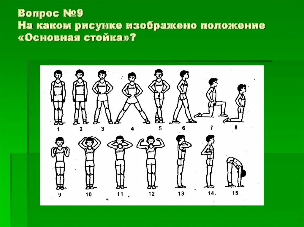 Название представленного положения