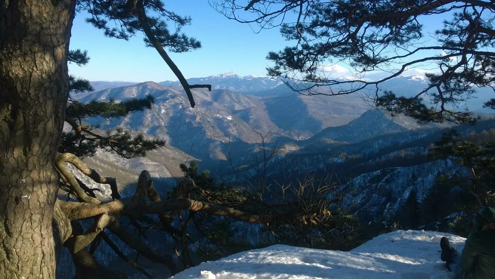 Гузерипль адыгея пихтовый. Веб гузерипль. Партизанская поляна гузерипль. Кавказский заповедник гузерипль. Горы адыгея гузерипль.