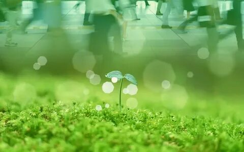 Environment background