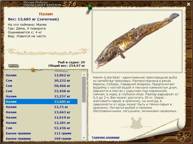 Скороговорка налима ловили. Русская рыбалка Installsoft Edition. Реальная рыбалка налим. На что ловить налима. Реальная рыбалка рыбные места.