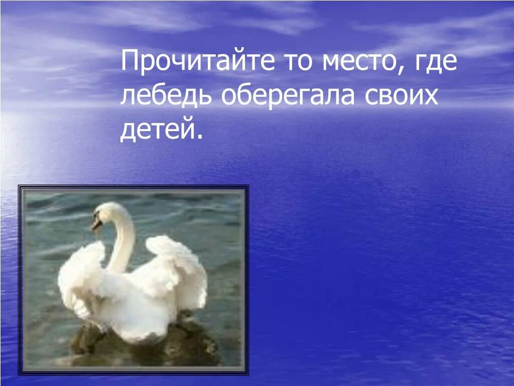 Тесты с ответами лебедушка есенин. Лебёдушка Есенин 4 класс. Стихотворение Лебедушка. Стихотворение Лебедушка Есенин. Урок чтения с Есенин Лебедушка.