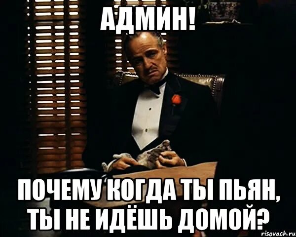Почему админ. Админ группы прикол. бухой админ. мемы про админа группы. шутки про админов групп.