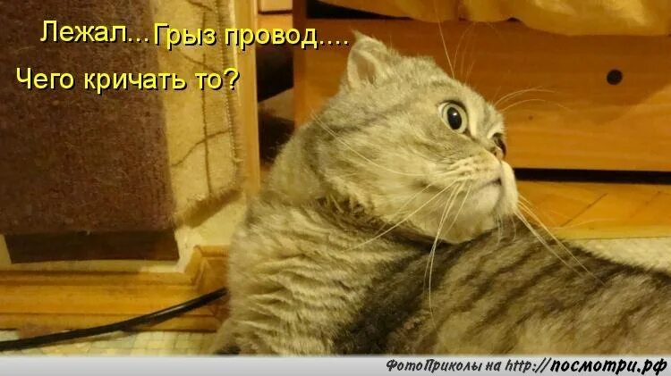 То кричишь ты то не хочешь
