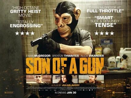 Son of a gun
