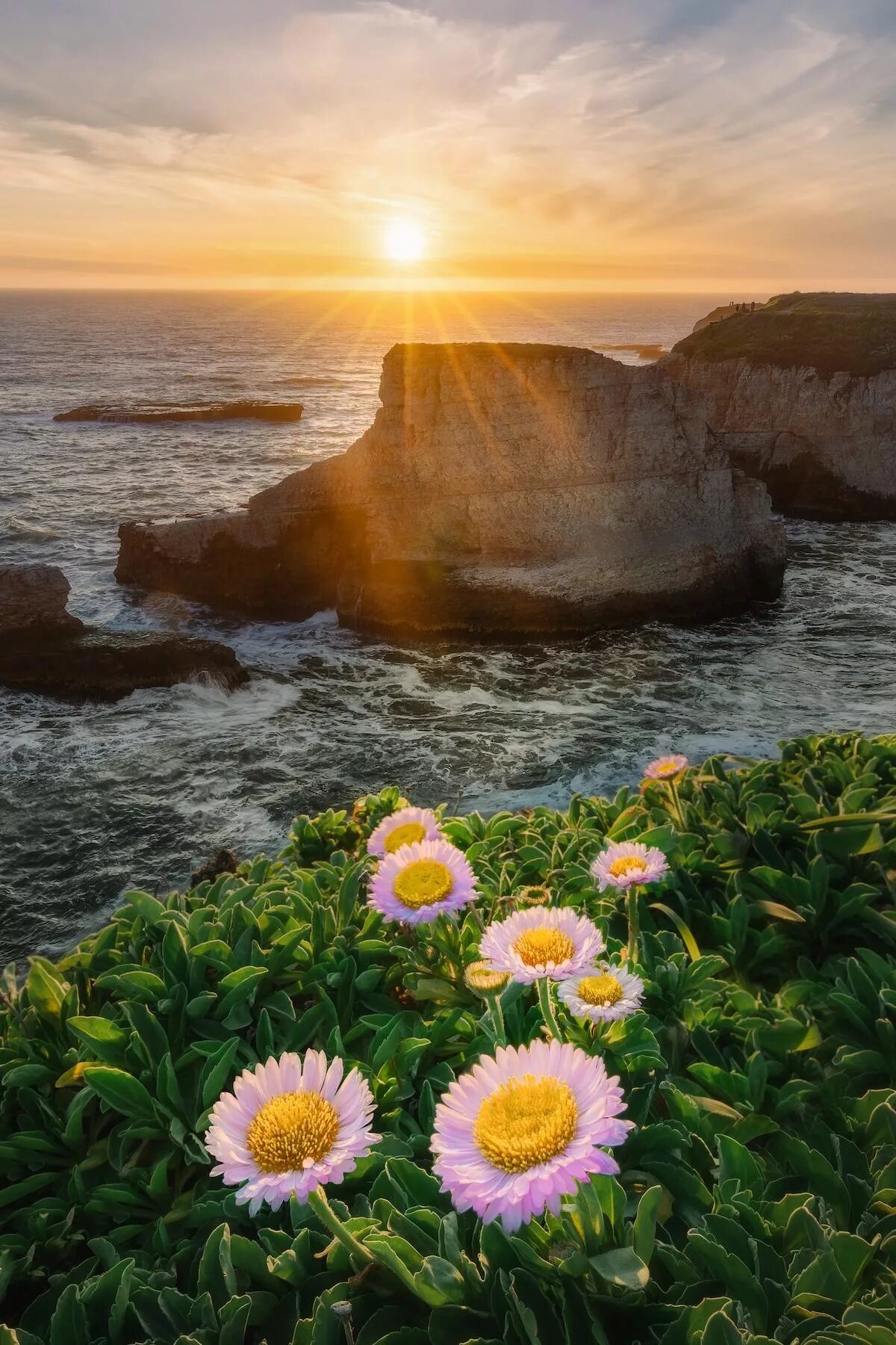 Чудесные картинки. Жизнерадостный пейзаж. Море солнце красота. Красота и Гармония в природе. Утро солнце море цветы.