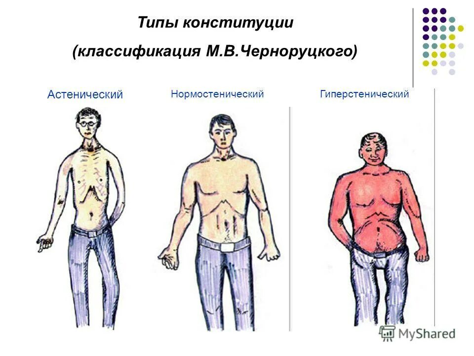 Типы м. Конституция тела астеник. черноруцкий конституциональные типы. конституционный тип нормостенический. конституциональные типы по м.в.черноруцкому.