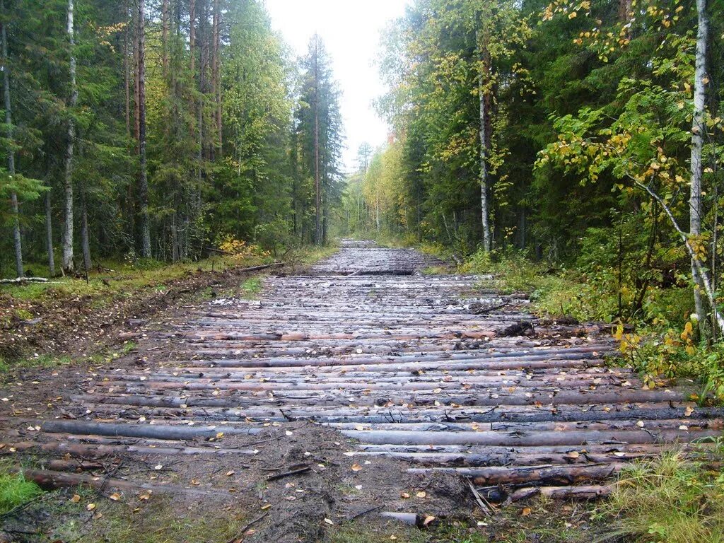 Дом колеи