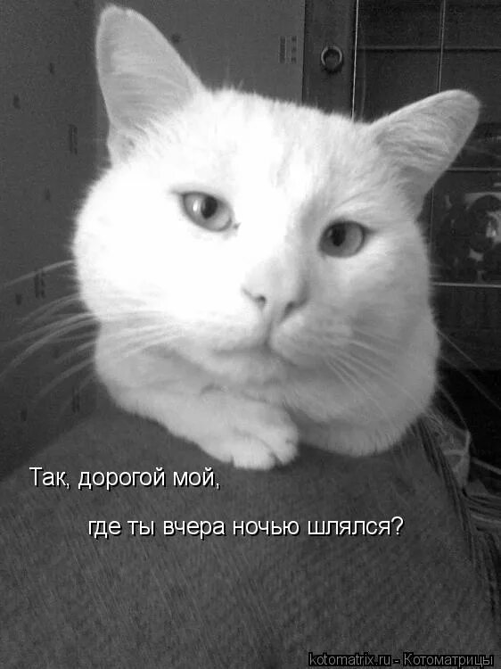 Он где то шляется с другой песня
