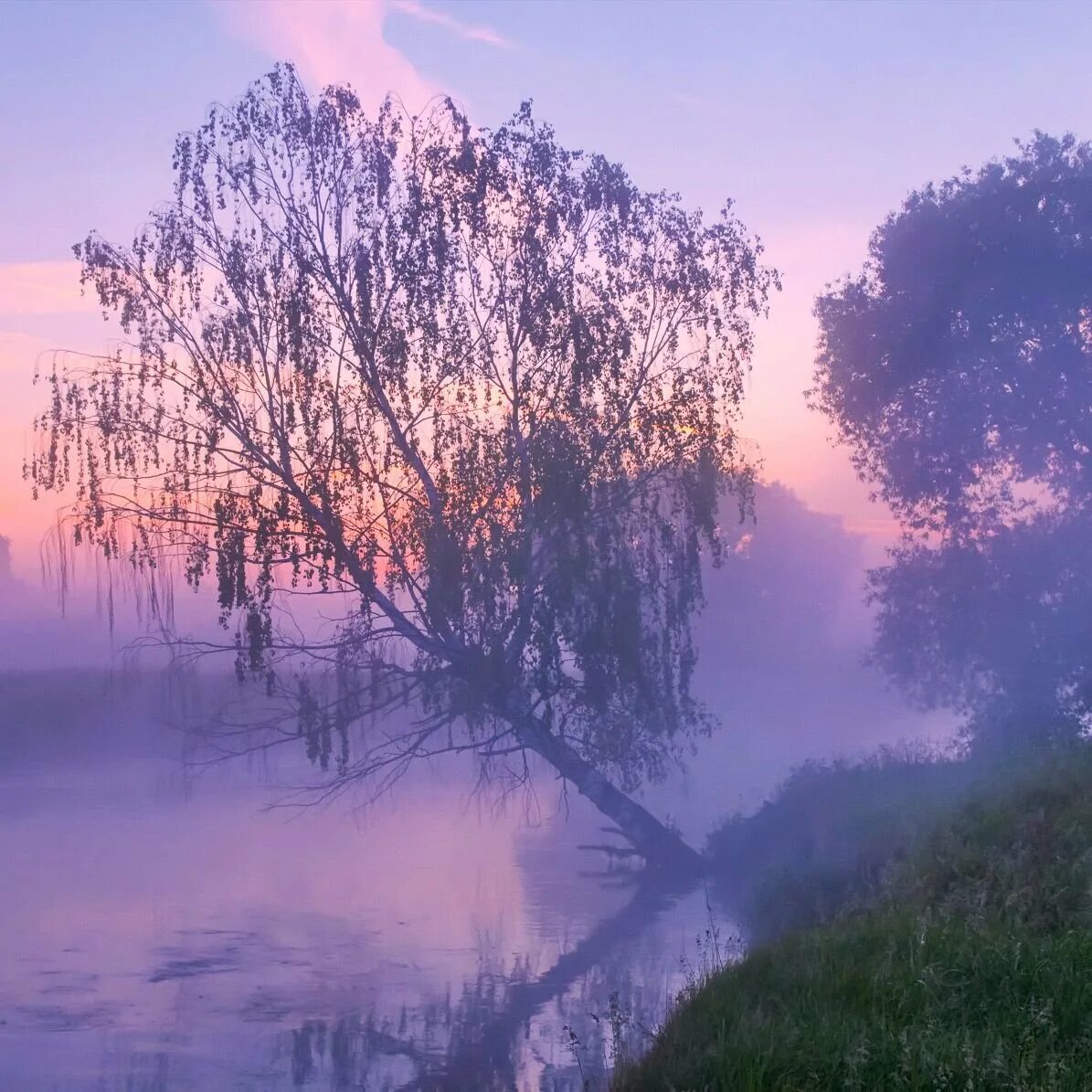 Дождь. Чтоб дождик прекращался. Два месяца дождя. Осенний дождь на окне. Дождь в окне.
